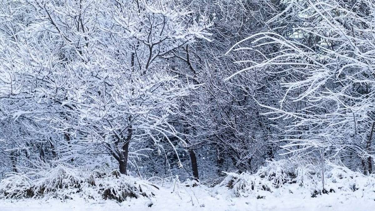 Meteorologové už vědí, jaký bude prosinec. Tohle žádného Čecha nepotěší