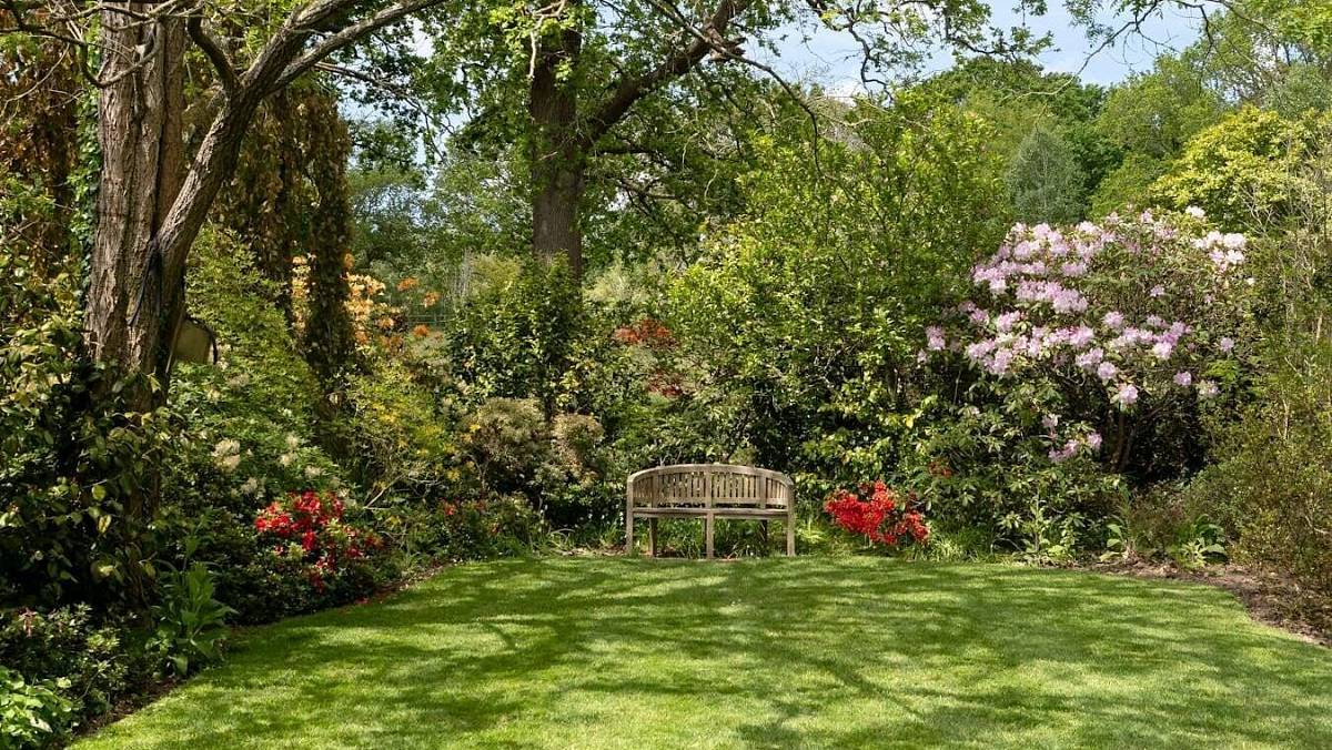 Dva skvělé důvody, proč do trávníku nalít Jar. Tenhle trik je k nezaplacení