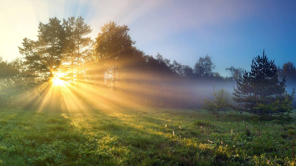 Slunce vstoupilo do období Štíra. Očekávejte bouři ve vztazích Slunce vstoupilo do období Štíra. Očekávejte bouři ve vztazích