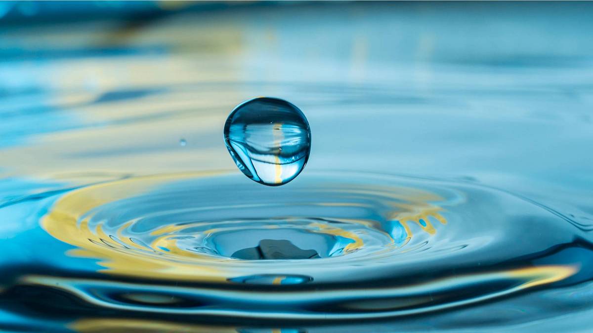 Vánoční horoskop pro vodní znamení. Patříte mezi vodní znamení i vy? Vánoční horoskop pro vodní znamení. Patříte mezi vodní znamení i vy?
