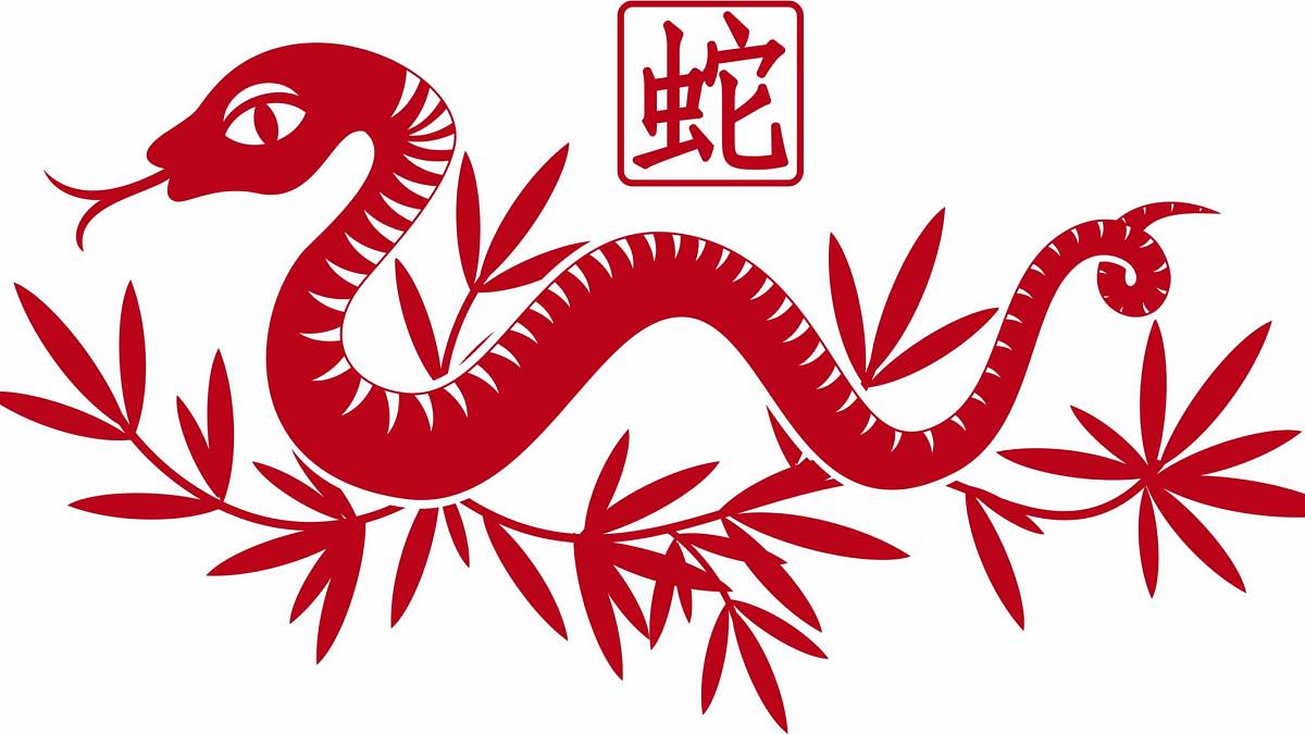 Čínský horoskop pro Hada na rok 2022. Jste Had?