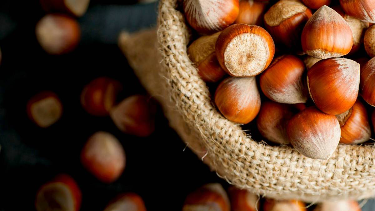 Jak nejlépe uchovat lískové ořechy