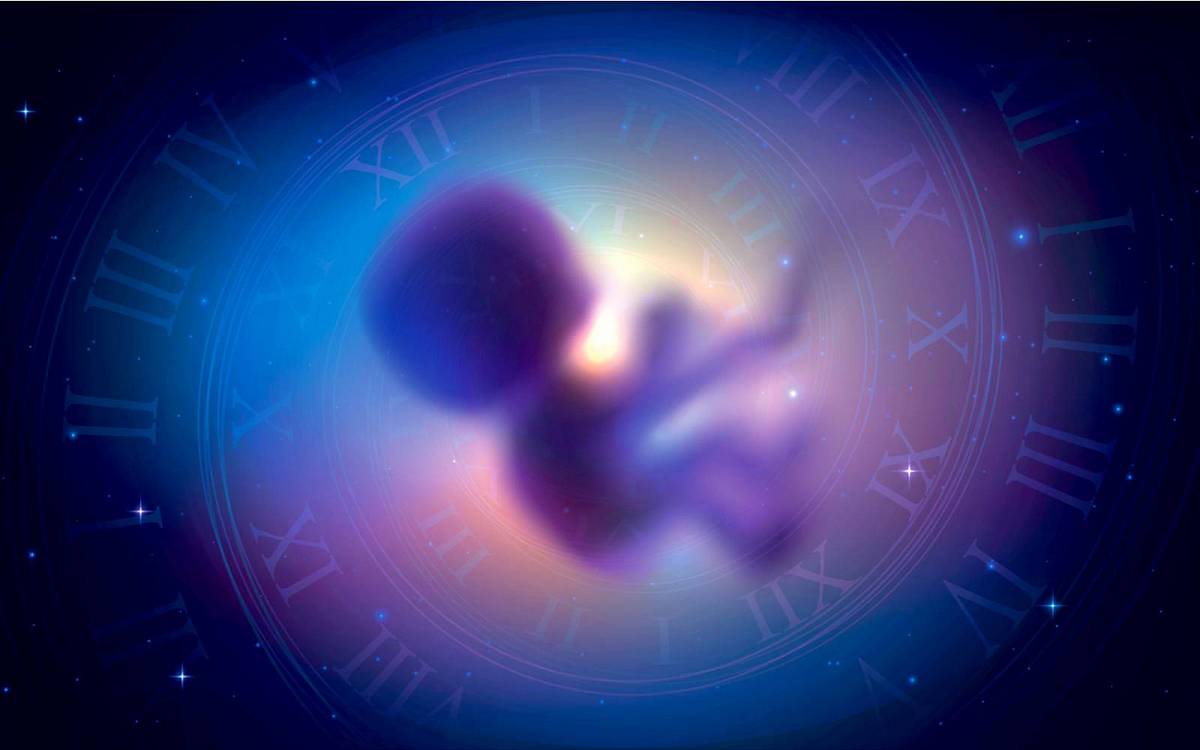 Horoskop plodnosti: Opravdu dokáže předpovědět, kdy je nejlepší doba k početí? A proč se jím řídit?