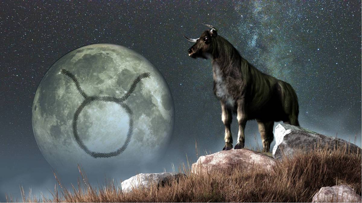 Horoskop: Býk pro rok 2022 Horoskop: Býk pro rok 2022
