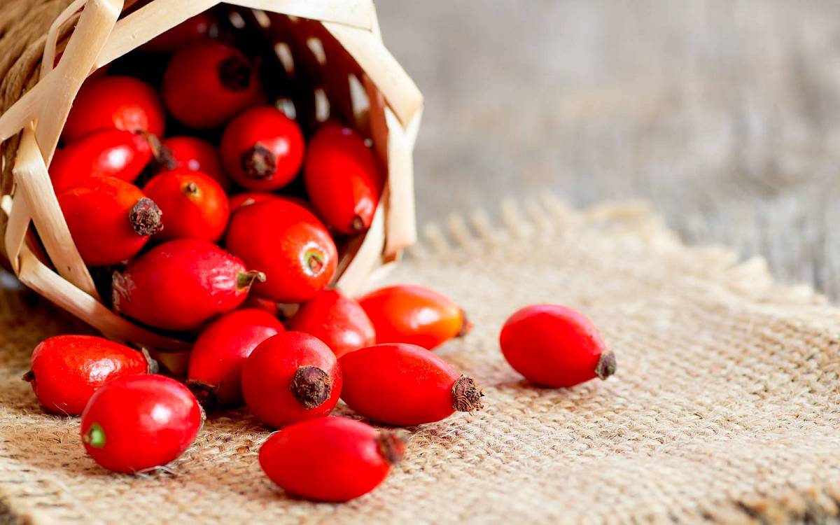 Šípky: Podzimní korále plné vitamínů jsou nezbytnou výbavou každé spižírny Šípky: Podzimní korále plné vitamínů jsou nezbytnou výbavou každé spižírny