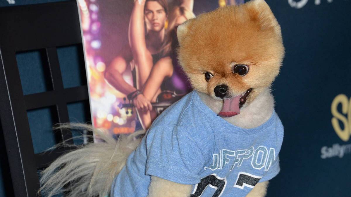 Některým influencerům nemůže konkurovat ani Leoš Mareš Některým influencerům nemůže konkurovat ani Leoš Mareš