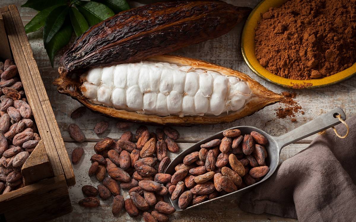 Kakao a jeho léčivé účinky: Jak často a kterou čokoládu užívat, aby nám pomohla a neškodila