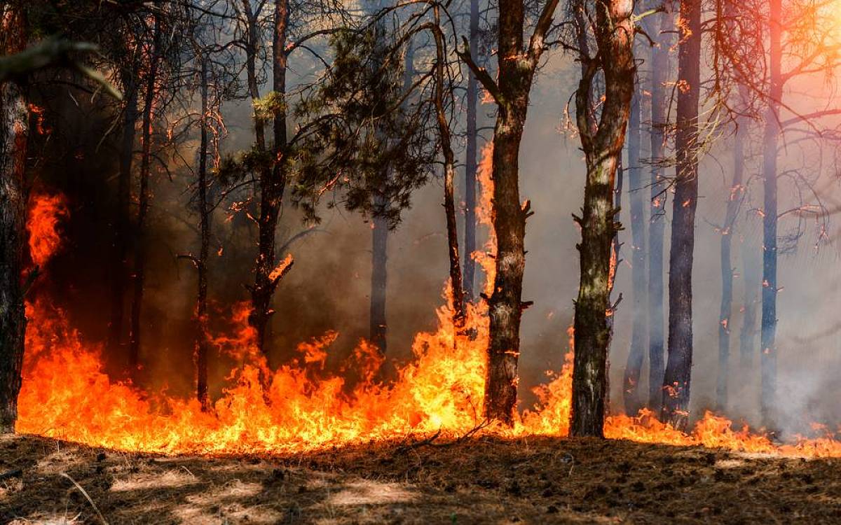 Energie živlů v našich snech: Oheň jako osobní transformace