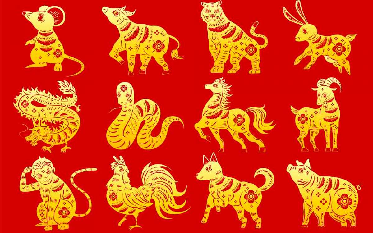 Čínský horoskop - funguje podle roku narození a prozradí ještě více než ten klasický. Sedí na vás?
