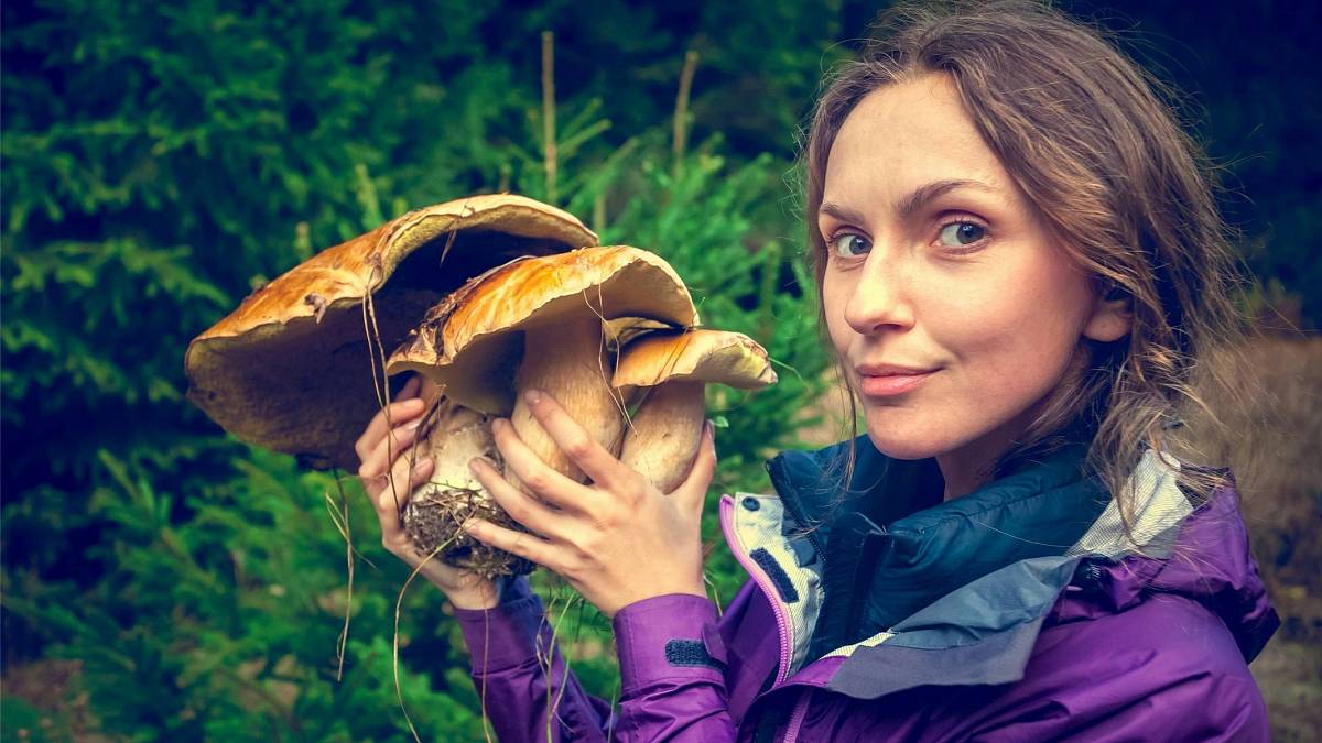 Znamení zvěrokruhu, která lze označit za skutečné houbaře. Patříte snad mezi ně? Znamení zvěrokruhu, která lze označit za skutečné houbaře. Patříte snad mezi ně?