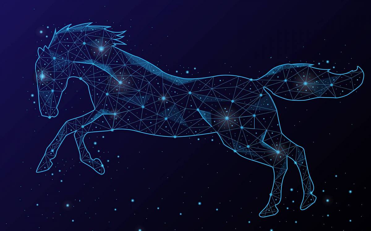 Horoskop pro milovnice koní: Najděte své spřízněné plemeno a zjistěte, jak naložit s vaším koníčkem do budoucna