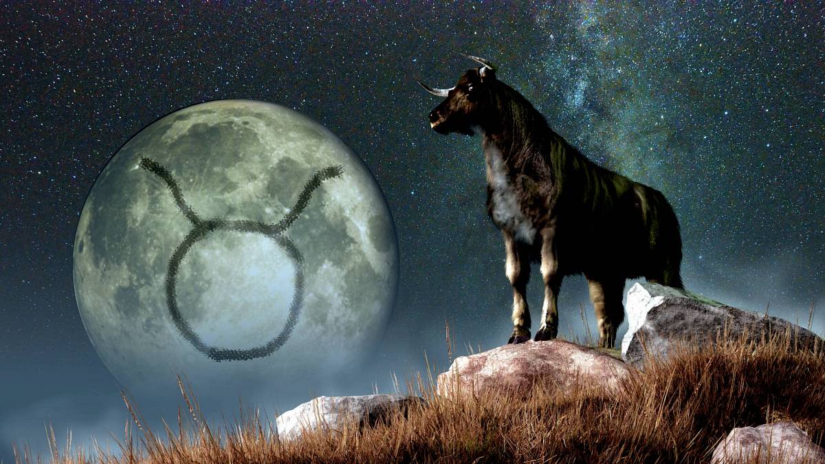 10 zajímavostí o Býcích, které neznáte, pokud mezi ně nepatříte 10 zajímavostí o Býcích, které neznáte, pokud mezi ně nepatříte