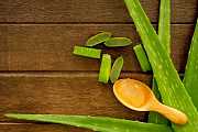Jak na hydrataci pleti. Vyzkoušejte aloe vera Jak na hydrataci pleti. Vyzkoušejte aloe vera