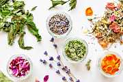 3 antibiotické poklady ze zahrady - tipy jak si uchovat sílu bylin na zimu 3 antibiotické poklady ze zahrady - tipy jak si uchovat sílu bylin na zimu