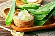 Aloe vera aneb připravte si domácí kosmetiku Aloe vera aneb připravte si domácí kosmetiku
