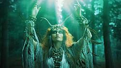 Druidský horoskop na duben: Kaštan poznává sám sebe, Jasan otevře srdce