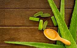 Jak na hydrataci pleti. Vyzkoušejte aloe vera Jak na hydrataci pleti. Vyzkoušejte aloe vera