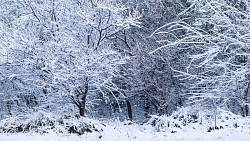 Meteorologové už vědí, jaký bude prosinec. Tohle žádného Čecha nepotěší