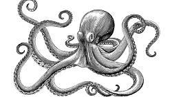 Chobotnice ve snu: Symbol přehlcení problémy nebo výzva k akci?