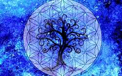 Druidský horoskop: Objevte moudrost keltských stromů