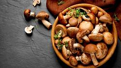 Připravte si na podzim ty nejlepší recepty z čerstvých hub