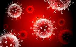 Rok s koronavirem. S "chřipečkou", která změnila celý svět