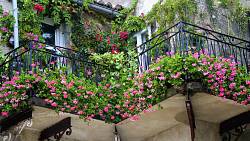 Využijte svůj balkon pro zahradničení, budete nadšeni z proměny omšelého místa v zelený ráj