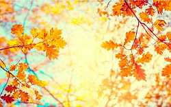 Přinášíme tipy, jak si zpříjemnit podzimní období