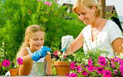 Které bylinky snadno vypěstujete i s dětmi