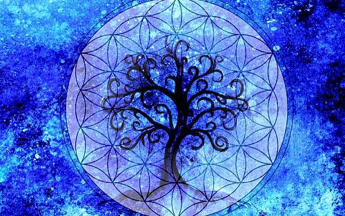 Druidský horoskop: Objevte moudrost keltských stromů Druidský horoskop: Objevte moudrost keltských stromů