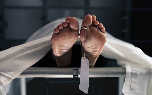 Sen o smrti kamaráda Sen o smrti kamaráda