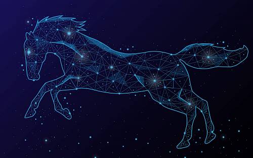 Horoskop pro milovnice koní: Najděte své spřízněné plemeno a zjistěte, jak naložit s vaším koníčkem do budoucna