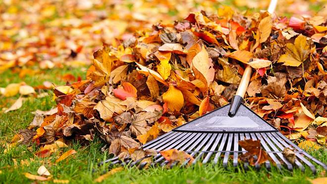 Pokud vaše zahrada na podzim zmizela pod hromadou listí, využijte toho k vytvoření listového kompostu