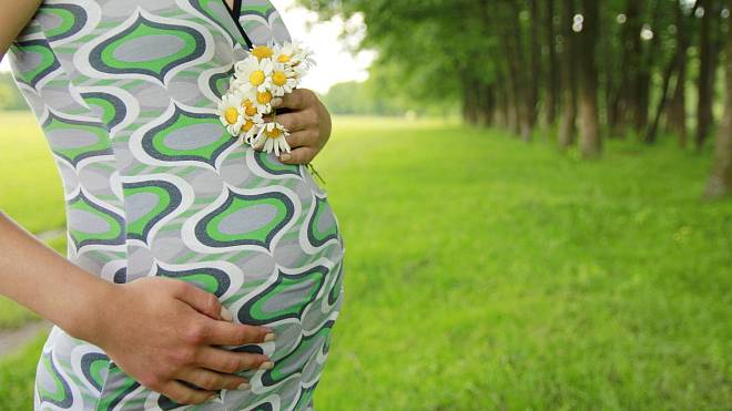 Bylinky v těhotenství mohou prospět i uškodit, záleží nejen na množství