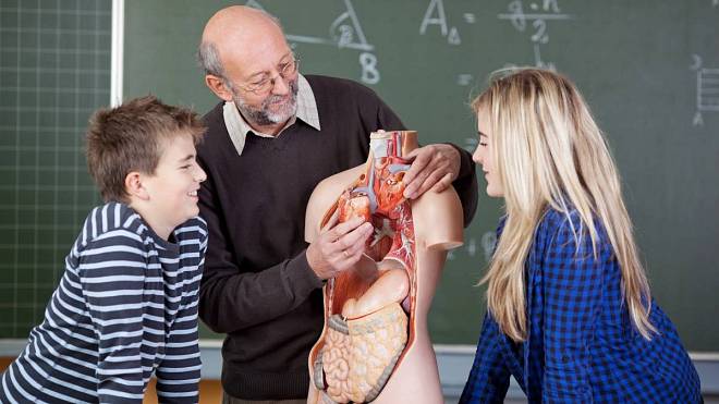 KVÍZ: Lidské tělo plné překvapení - Otestujte své znalosti anatomie a fyziologie