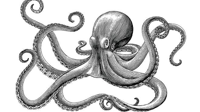 Chobotnice ve snu: Symbol přehlcení problémy nebo výzva k akci?