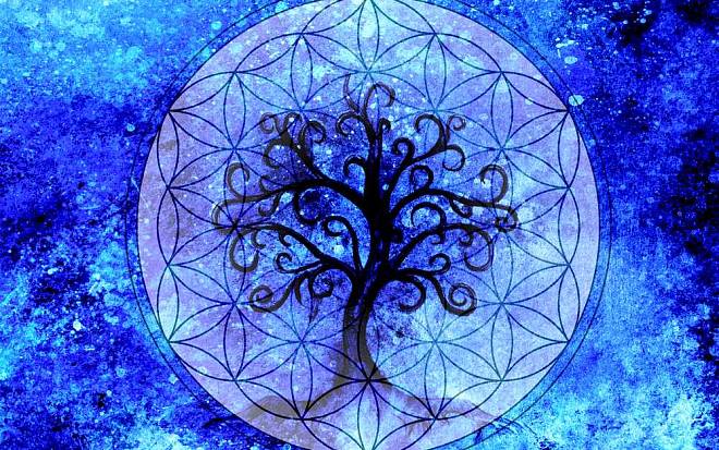 Druidský horoskop: Objevte moudrost keltských stromů