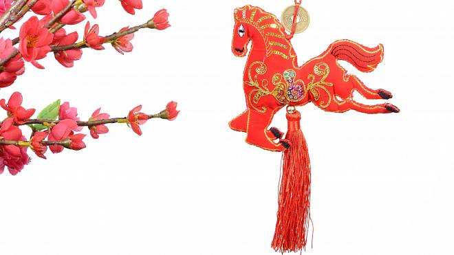Čínský horoskop pro Koně na rok 2023: Budete se těšit dobrému zdraví a finanční prosperitě