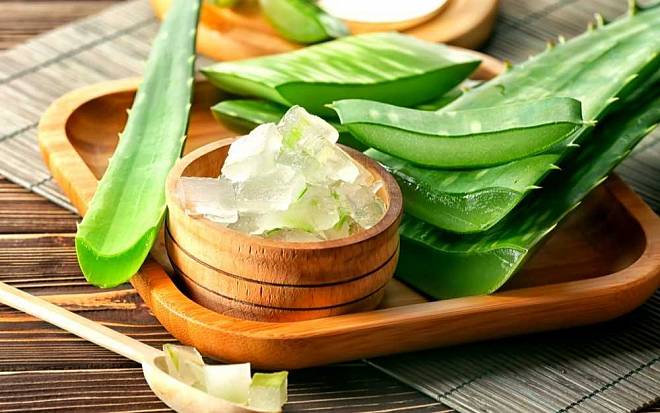 Aloe vera aneb připravte si domácí kosmetiku