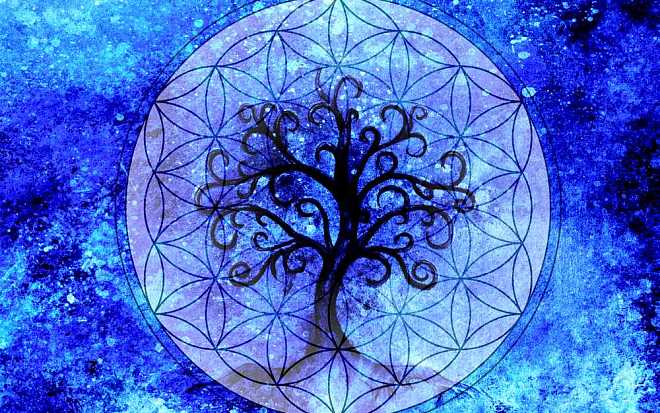 Druidský horoskop: Objevte moudrost keltských stromů Druidský horoskop: Objevte moudrost keltských stromů
