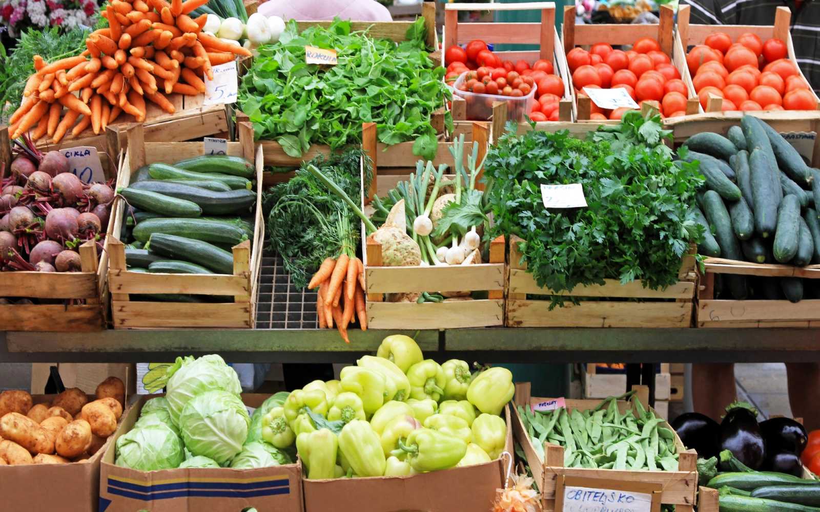 Vánoce jako svátky plýtvání jídlem? Jak předcházet food waste? Vánoce jako svátky plýtvání jídlem? Jak předcházet food waste?