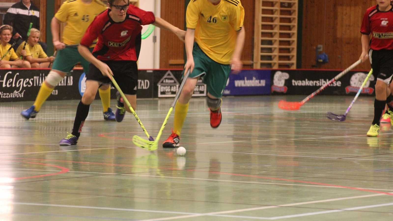Jaké sporty se těší větší a větší oblibě? Jaké sporty se těší větší a větší oblibě?